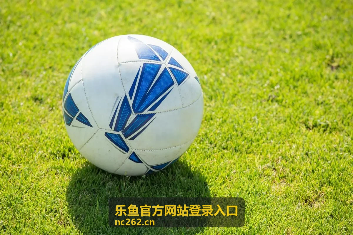 乐鱼官方网站登录入口往期赛事回放封面